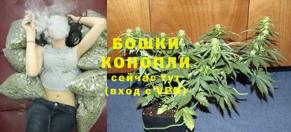 ПСИЛОЦИБИНОВЫЕ ГРИБЫ Арсеньев