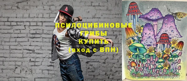 прущие крисы Баксан